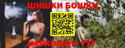 СК Камышлов