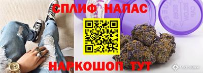 spice Кандалакша