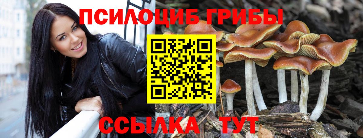 Галлюциногенные грибы MAGIC MUSHROOMS Краснодар