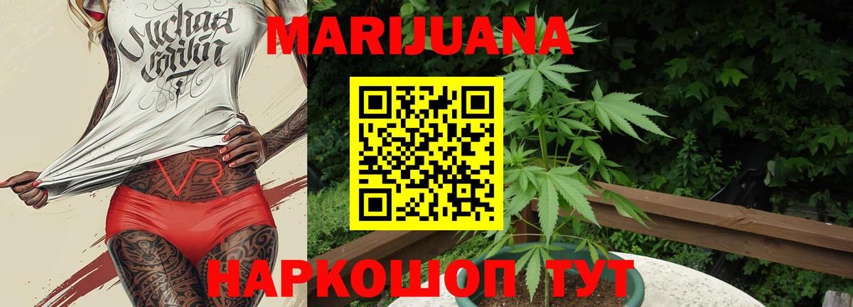 Конопля White Widow  Шишки марихуана план  Краснодар  Шишки марихуана Ganja  Вход с VPN 