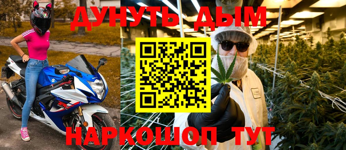 Конопля сатива Краснодар
